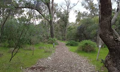 Baldivis Children Forest