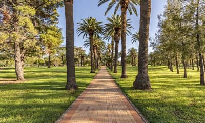 Tamworth Wetland
